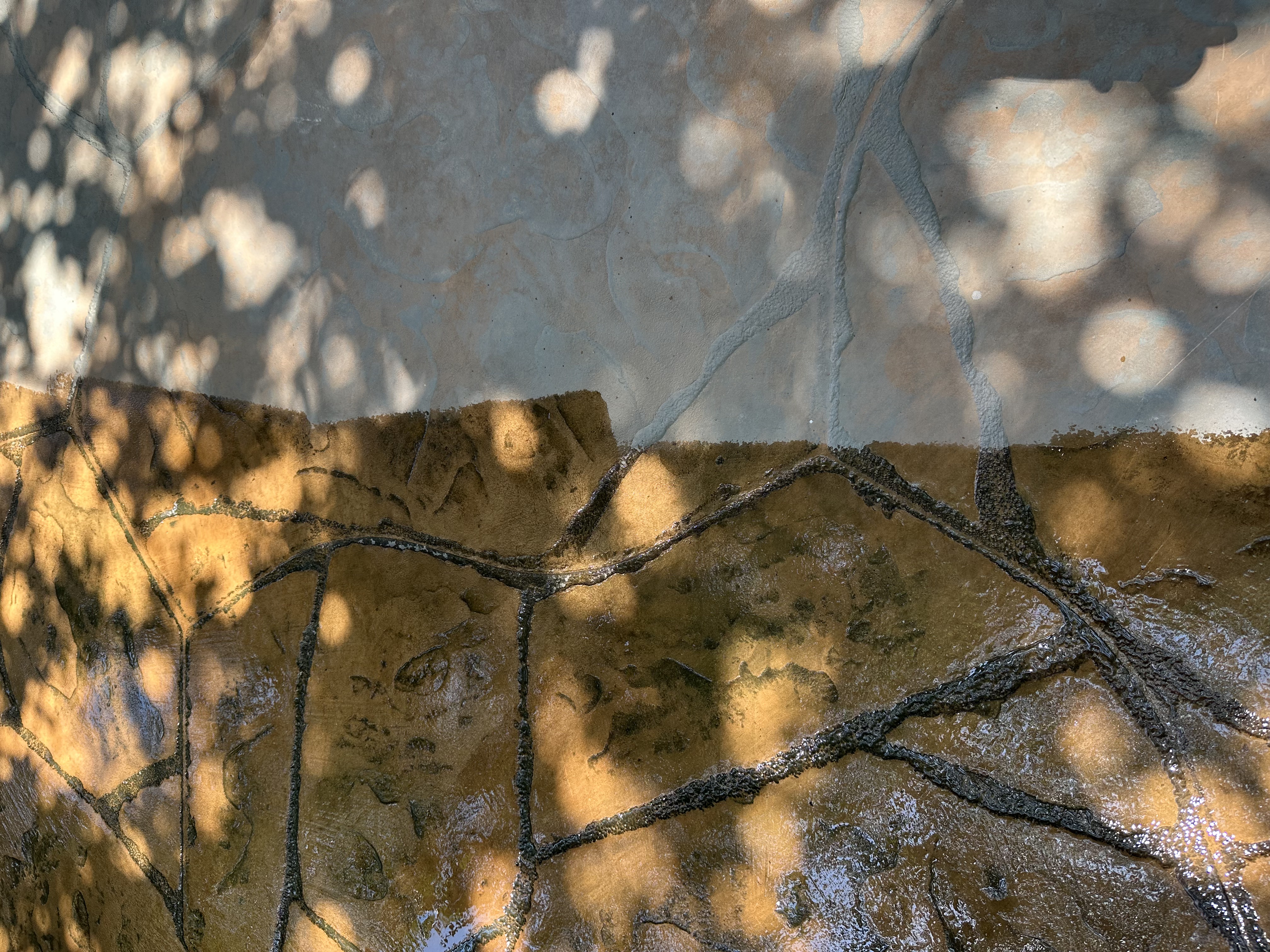 Concrete Repair and Resurfacing